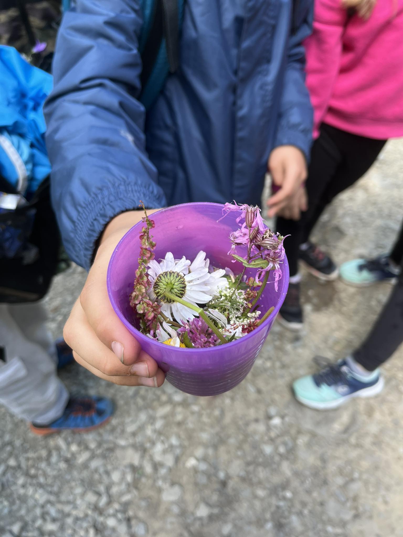 koktail zapachowy w kubeczku