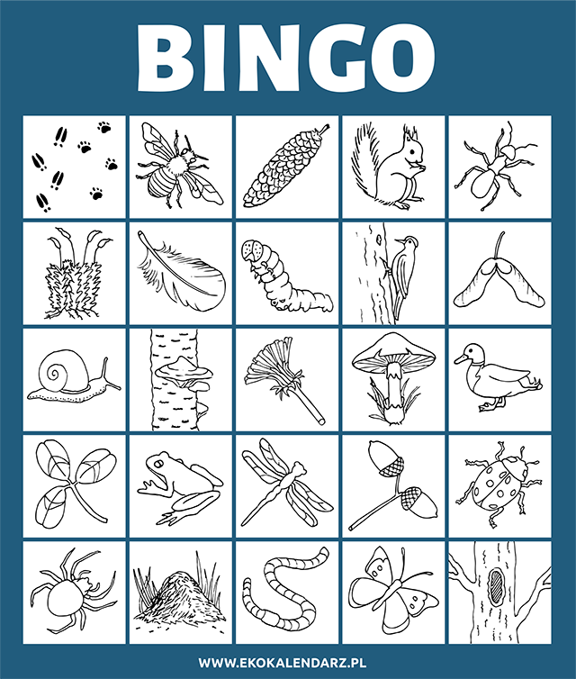 bingo